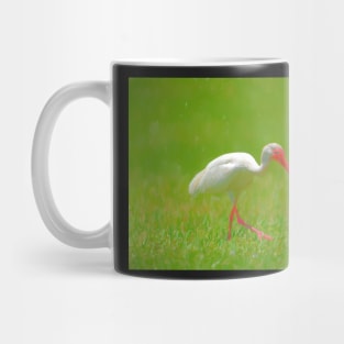 Florida Birding Mug